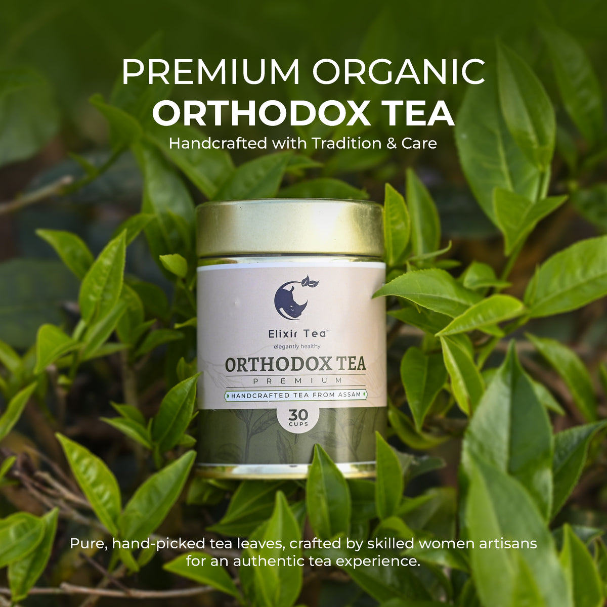 Elixir Tea Orthodox Premium Assam Tea, Handcrafted
