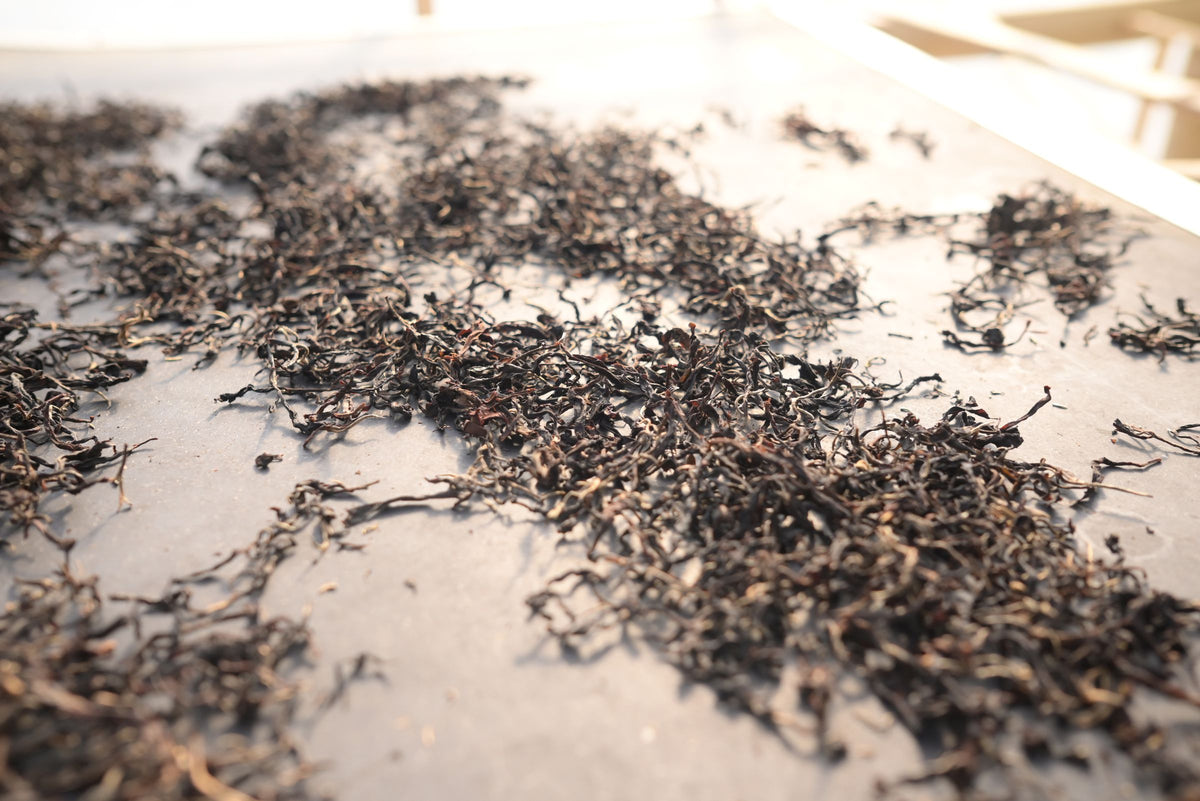 Handcrafted Artisanal Tea, made by Karbi women.