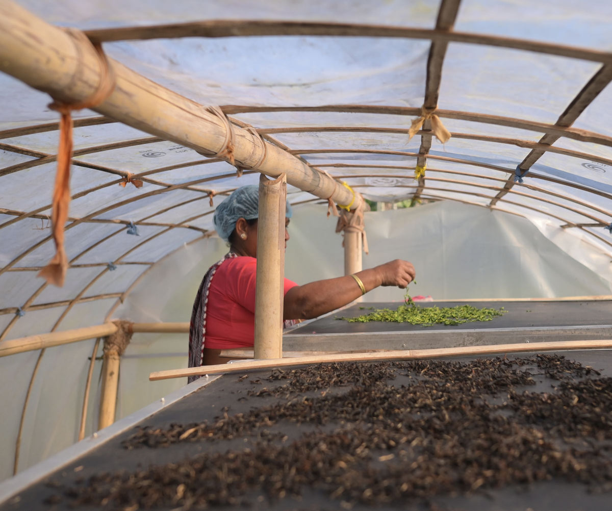 Handcrafted Artisanal Tea, made by Karbi women.